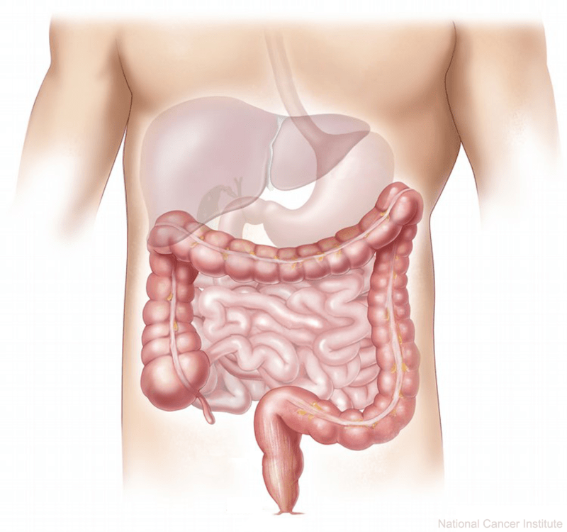 Intestinal Disorders