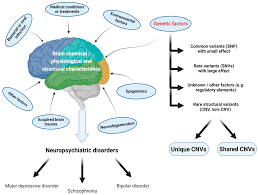 Neuropsychiatric Disorders